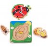 Bigjigs Toys Vkladacie puzzle životný cyklus Lienka, 6 dielikov
