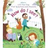 First Questions and Answers: How do I see? (Katie Daynes)(Leporelo)