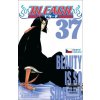 Bleach 37 (Tite Kubo)