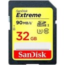 SanDisk Extreme SDHC 32GB UHS-I U3 SDSDXNE-032G-GNCIN