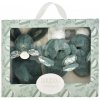 Darčeková sada pre bábätko Slipper Gift Set Sage Green Lapin Doudou et Compagnie papučky a zajačik na maznanie zelená 15 cm v darčekovom balení od 0 mes