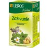 Čaj LEROS Natur bylinný na dýchacie cesty šípka & baza 10 x 1,5 g