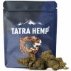 TATRA HEMP TATRAHEMP - Gary Payton NANO11 - 1G