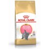 Royal Canin British Shorthair Kitten 400g