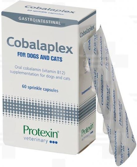 Protexin Cobalaplex pro psy a kočky 60 ks