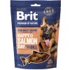 Brit Premium Dog by Nature SM Snacks Salmon 180 g