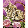 Maľovanie podľa čísel – Mačiatka v košíku a ružové ruže, 40 × 50 cm, bez rámu a bez napnutia plátna 8596530019565