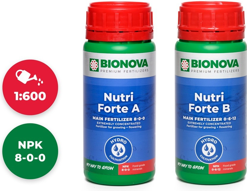 BioNova Nutri Forte A+B 250 ml