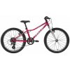 AMULET 20 Tomcat SH 2025, raspberry/silver 7,9kg, 8592772146274, AM252002