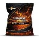 StillMass Whey 80 Instant 100 g