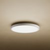 Xiaomi Mi Smart LED Ceiling Light D20