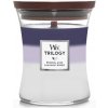 WoodWick Trilogy Warm Woods Ellipse Candle 453,6 g