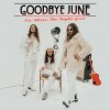 See Where the Night Goes - Goodbye June LP