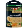 DENNERLE NANO CATAPPA LEAVES 12lístků