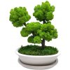 Bonsaj bezúdržbový White II.