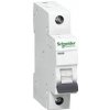 Istič B 40A 1-pólový 6kA iK60N- A9K01140