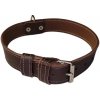 Palkar Obojok z kože hladenice pre psov 65 cm × 30 mm hnedý