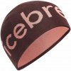 Icebreaker Merino Beanie java/acid pink