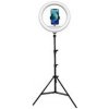 POWERTON WPRL2W