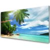 Obraz plexi Palma pláž more krajina 100x50 cm