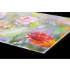 DIMEX | Plexisklo za kuchynskú linku PGT-08040-199 | 80 x 40 cm Letná farebná lúka + Plexisklo za kuchynskú linku DIMEX v rozmere 80 x 40 cm, Letná farebná lúka + Lepidlo zadarmo