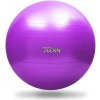 Sedco Gymnastický loptu ZLEXN Yoga Ball 65 cm - modrá