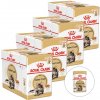 Royal Canin Maine Coon 48 x 85 g