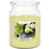 BISPOL Garden Mint & Avocado 500 g