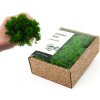 KreaBox - Prírodno zelený lišajník
