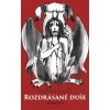 Rozdrásané duše - Milan Kališ SK