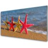 Nástenný panel Pláž hviezdice umenie 100x50 cm