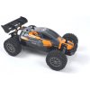 DF Models RC auto buggy Rookie Fighter Buggy RTR 1:18