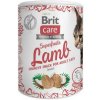 Brit Care Superfruits Lamb 100 g
