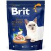 Brit Premium by Nature Cat Indoor Chicken 300 g