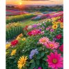 Diamantový obraz Lúky plné kvetov
