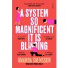 System So Magnificent It Is Blinding (Nichola Smalley)(Brožovaná)