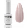 Vanedia - FAREBNÝ GÉL LAK, B29 5 ml.