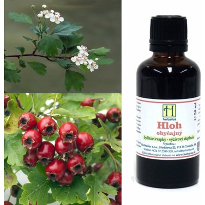 Herbárius Hloh obyčajný tinktúra 50 ml