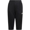 adidas TIRO19 3/4 PNTY čierna biela
