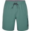 Pánske kúpacie šortky O'Neill, ALL DAY 17'' HYBRID SHORTS tmavo zelená M