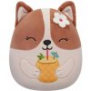 Squishmallows REGINA Pes Corgi Maskot na maznanie