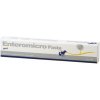 ICF Enteromicro pasta Complex 15 ml