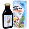 Salus Floradix Kindervital Fruity 250 ml