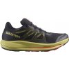 Salomon PULSAR TRAIL GTX L416008100 Veľkosť: 8