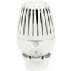 GIACOMINI Termostatická hlavica kvapalinova R460