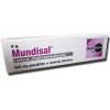 Mundisal gel 8 g