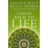 Coming Back to Life