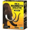 Skelet - Mamut