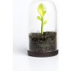 Dóza s lyžičkou Qualy Sprout Jar