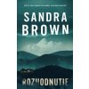 Rozhodnutie - Sandra Brown